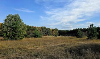 303 Westwood Rd NW, Alden, MI 49612