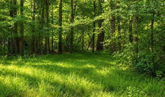 Belle Gardner Road, Amite, LA 70422