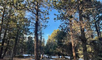 Vail Loop lot 352, Angel Fire, NM 87710