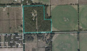 4820 10th St, Bell, FL 32619