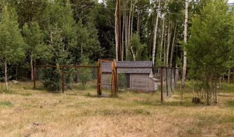 133 Gold Run Rd, Alma, CO 80440