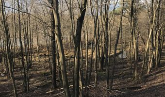 Lot 119 Mountain Rd, Albrightsville, PA 18210