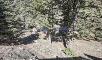 33 Upper Red River Valley Rd, Red River, NM 87558