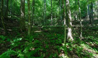 311 And 317 Boundary Tree Pass Unit 12 13 12,13, Arden, NC 28704