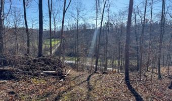 0 W Captina Highway Rd, Alledonia, OH 43902