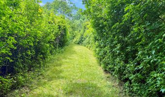 Old Field Road, Aquinnah, MA 02535