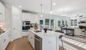 8635 Standing Stone, Ball Ground, GA 30107