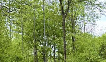 631 Shahan Ln, Birchwood, TN 37308