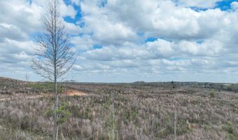 919 County Road 6628, Banks, AL 36005