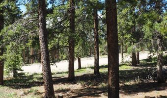 Caesar Rd, Black Hawk, CO 80422