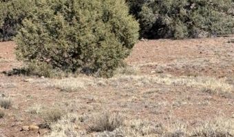 N8715, Concho, AZ 85924