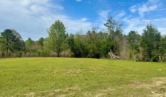 656 CR 12, Bay Springs, MS 39422