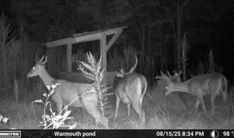 644 Ash-Harrel Loop, Abbeville, GA 31001