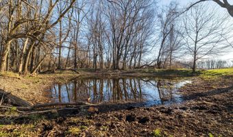 W Farm Rd 64, Ash Grove, MO 65604