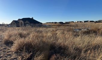 1000 TANNER Dr, Amarillo, TX 79124