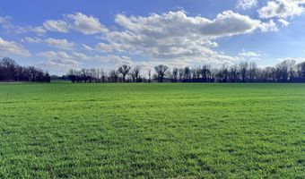 0001 CR-290, Asbury, MO 64832