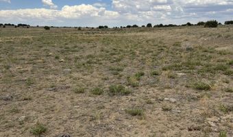 8206 TBD N8206, Concho, AZ 85924