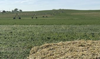 TBD W County Rd 4E, Berthoud, CO 80513