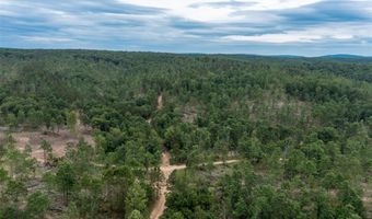 Tract 4 Hidden Valley, Annapolis, MO 63628