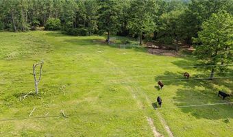 6779 County Road 215, Anderson, TX 77830