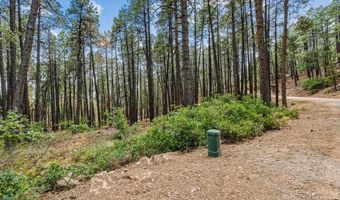 432 Blue Ridge Dr, Bayfield, CO 81122