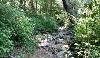 Lot 5 Lakespur Trail, Banner Elk, NC 28604