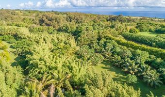 UNION MILL RD, Kapaau, HI 96755