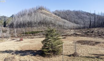 91747 BLUE RIVER RESERVOIR Rd, Blue River, OR 97413
