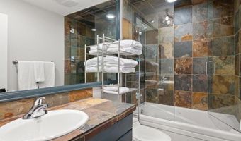 326 Midland Ave 302, Aspen, CO 81611