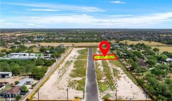 1210 S Michigan St, Alton, TX 78573