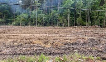 715 Old Pinola Braxton Rd, Braxton, MS 39044