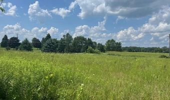 6839 Dryden Rd, Almont, MI 48003