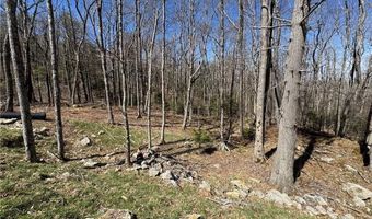 ES71 Twisted Oak Path, Banner Elk, NC 28604