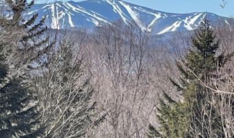 Walker Hill Road, Bridgewater, VT 05034