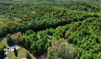 8134 NW Ruttan Rd, Alden, MI 49612