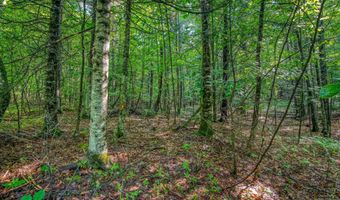 38 F Lang Rd, Bath, NH 03740