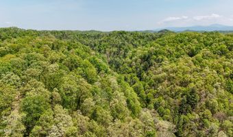Tbd Green Springs Road, Abingdon, VA 24211