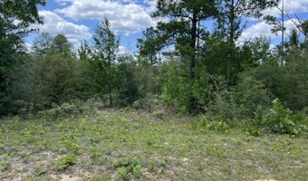 Lot 6 Cleveland Drive, Alford, FL 32420