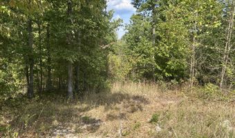 Hc 73 Box 4925 Track 20, Ava, MO 65608