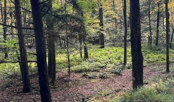 360 Ives Hill Rd, Afton, NY 13730