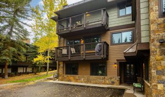 650 S Monarch St 9, Aspen, CO 81611