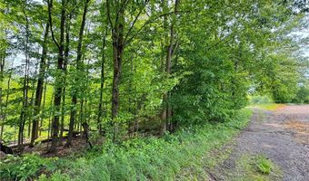 Snode Street NE, Alliance, OH 44601