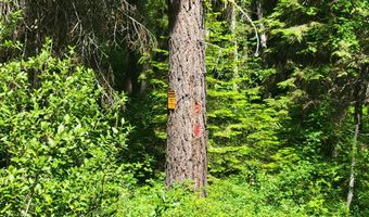 671 W Mountain Rd, Cascade, ID 83611