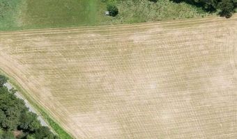 1515 Fairview Rd, Andrews, NC 28901