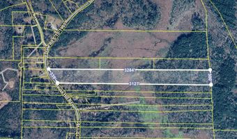 Mauss Hill Road, Adams Run, SC 29426