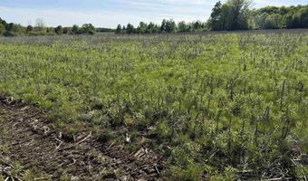 EAU CLAIRE RIVER ROAD lot 3, Aniwa, WI 54408