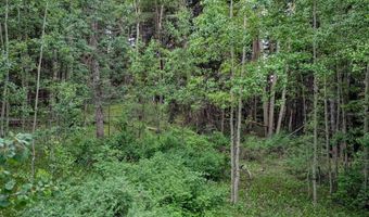 4556 Middle Mountain Rd, Bayfield, CO 81122