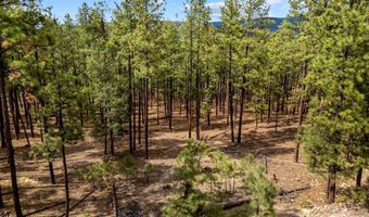Tbd CR2325, Alpine, AZ 85920