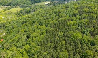 738 Four Mile Rd, Allegany, NY 14706