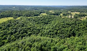 1235 Long Branch-Land, Beattyville, KY 41311